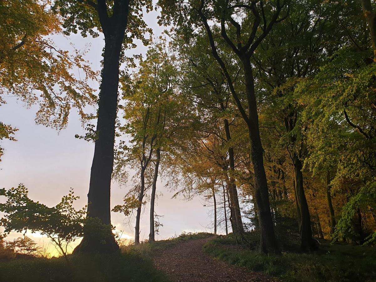 تشيبستو Wye Valley Retreat المظهر الخارجي الصورة